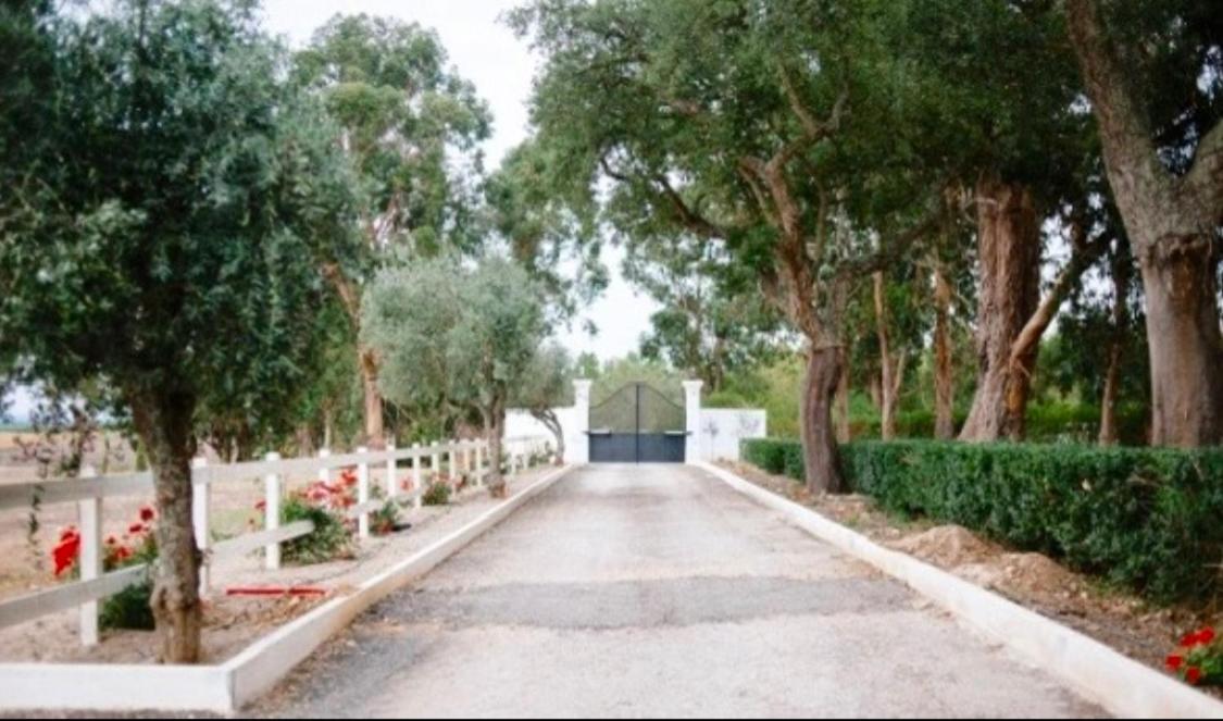 Herdade De Santa Maria Алмерим Екстериор снимка