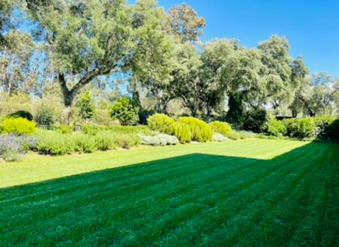 Herdade De Santa Maria Алмерим Екстериор снимка
